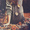Bimage1_image_11810180731498364389150x150